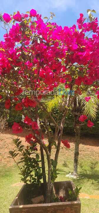 Ranch for vacation rental in Tuiuti (Centro)