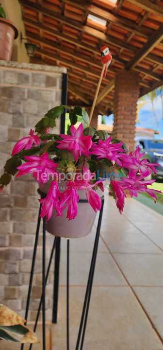 Ranch for vacation rental in Tuiuti (Centro)