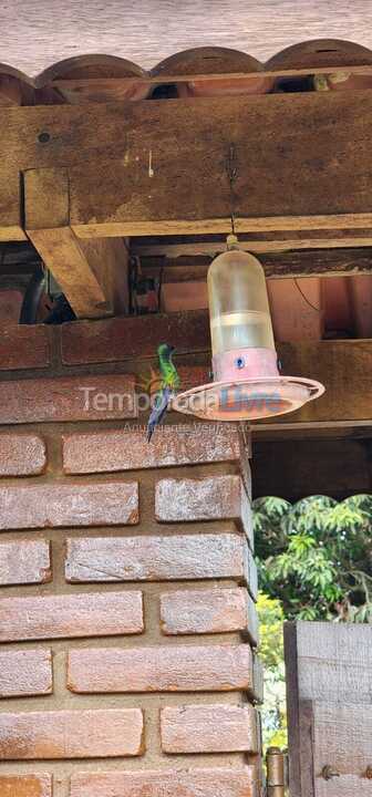 Ranch for vacation rental in Tuiuti (Centro)