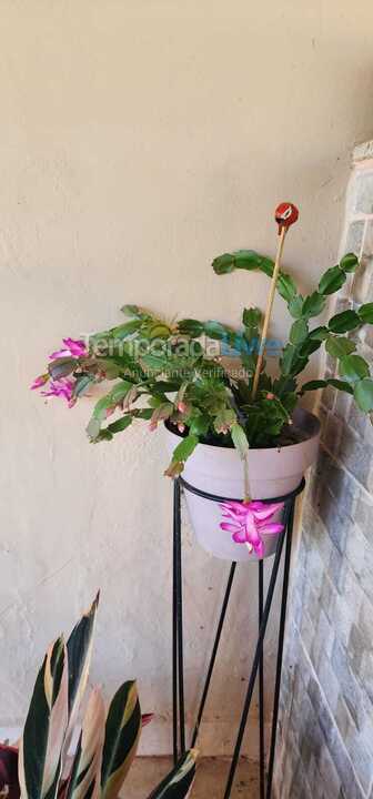 Ranch for vacation rental in Tuiuti (Centro)