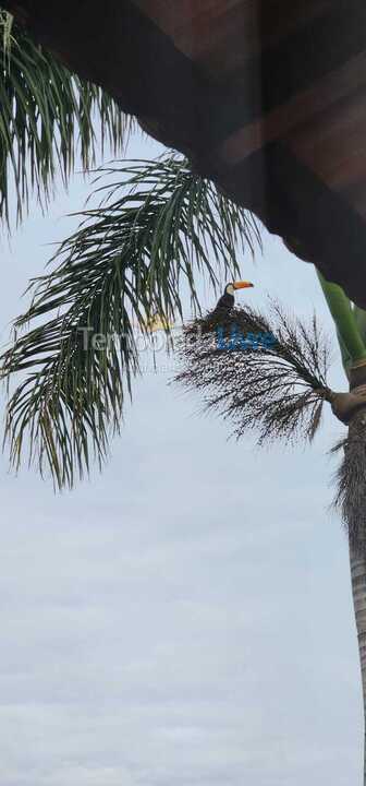 Ranch for vacation rental in Tuiuti (Centro)