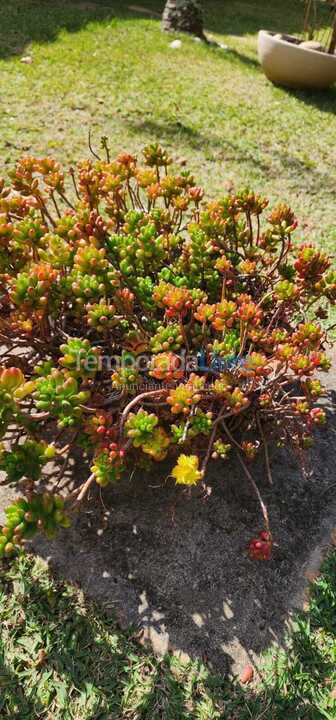 Ranch for vacation rental in Tuiuti (Centro)