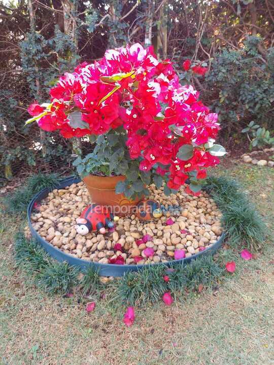 Ranch for vacation rental in Tuiuti (Centro)