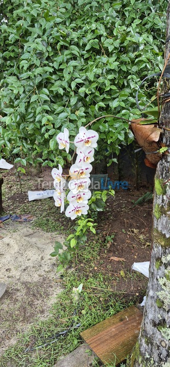 House for vacation rental in Bertioga (Riviera de São Lourenço)