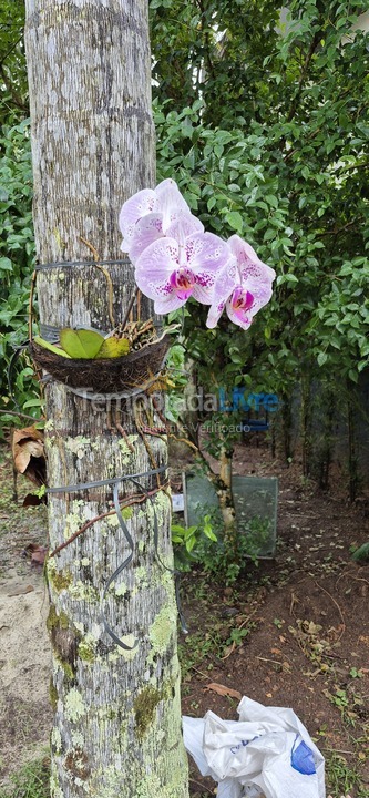 House for vacation rental in Bertioga (Riviera de São Lourenço)