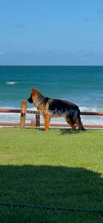 Casa para aluguel de temporada em Porto de Galinhas (Porto de Galinhas)