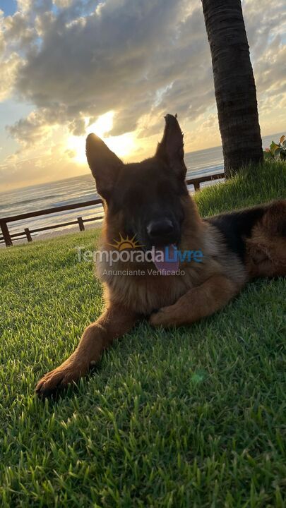 Casa para aluguel de temporada em Porto de Galinhas (Porto de Galinhas)