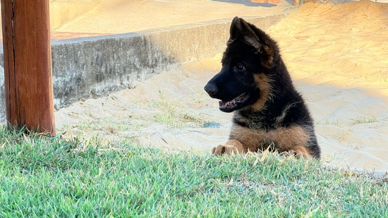 Casa para aluguel de temporada em Porto de Galinhas (Porto de Galinhas)