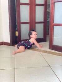 Casa entera-Bosque Atlántico y Mar