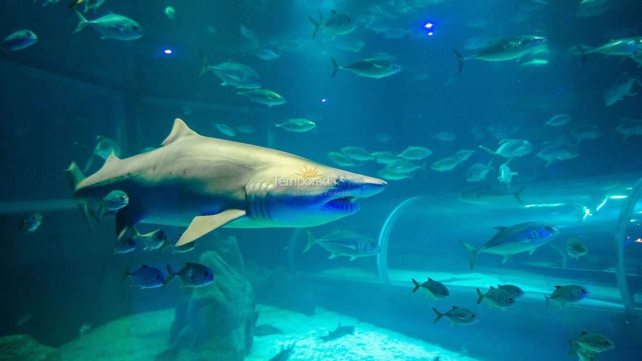 Apartamento para aluguel de temporada em Rio de Janeiro (Flamengo)