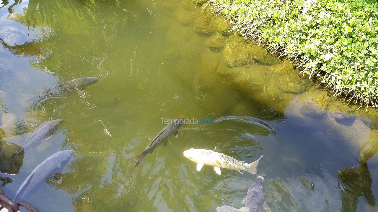 Apartamento para aluguel de temporada em Ubatuba (Praia das Toninhas)