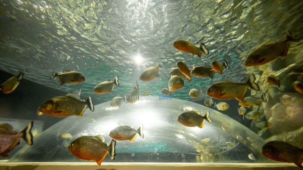 Apartamento para alquiler de vacaciones em Rio de Janeiro (Urca)