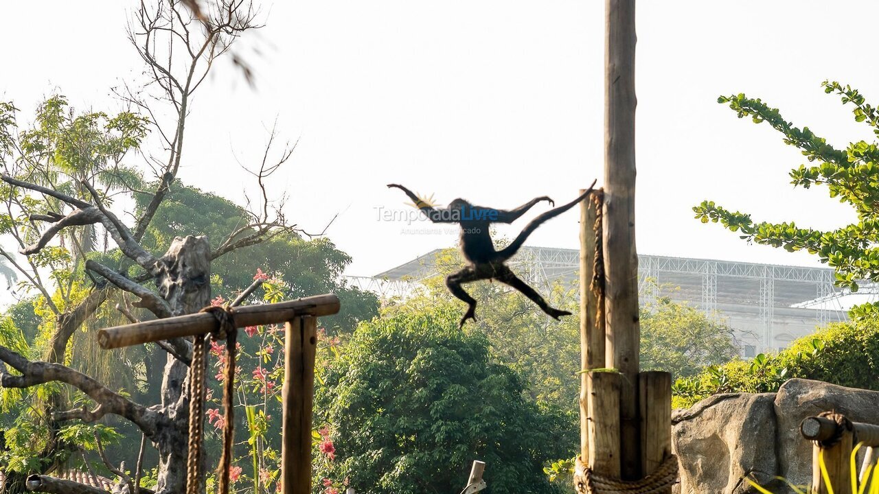 Apartamento para alquiler de vacaciones em Rio de Janeiro (Urca)