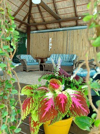 Quiosque para relaxar