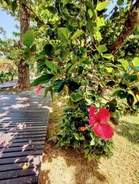 Apartamento para alquilar en Bombinhas - Canto Grande