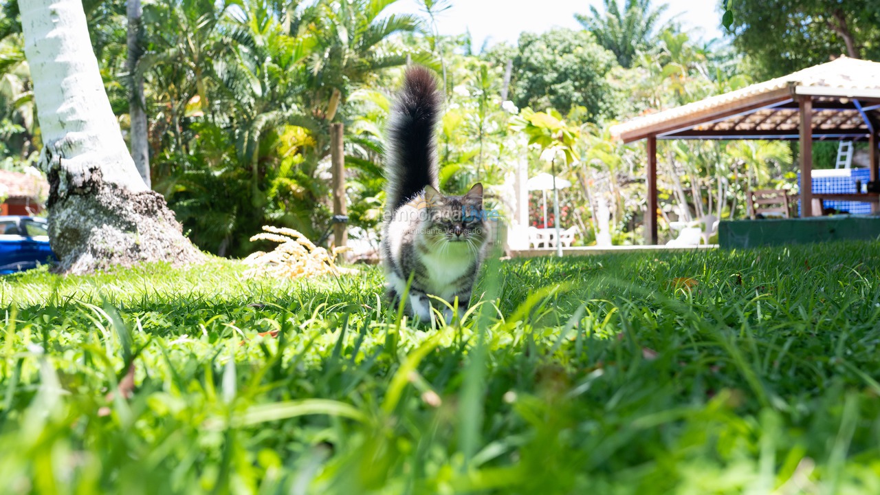 Chácara / sítio para aluguel de temporada em Camaçari (Praia de Guarajuba)