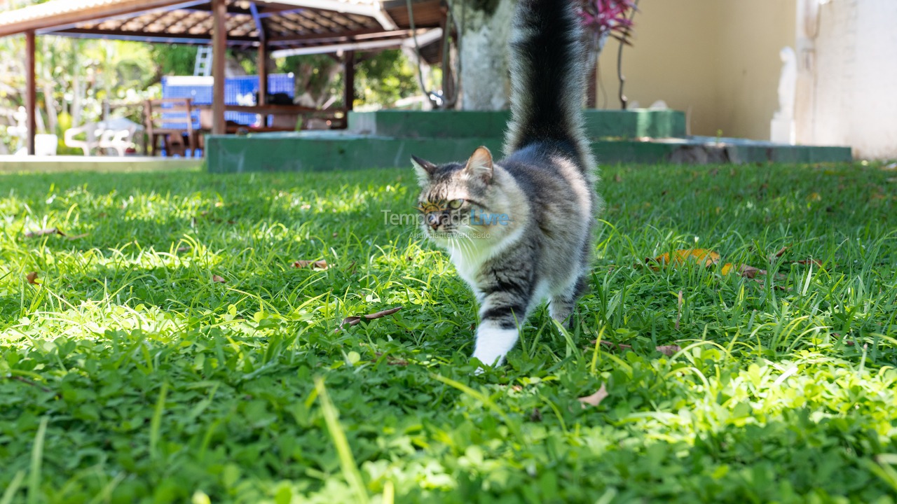 Chácara / sítio para aluguel de temporada em Camaçari (Praia de Guarajuba)