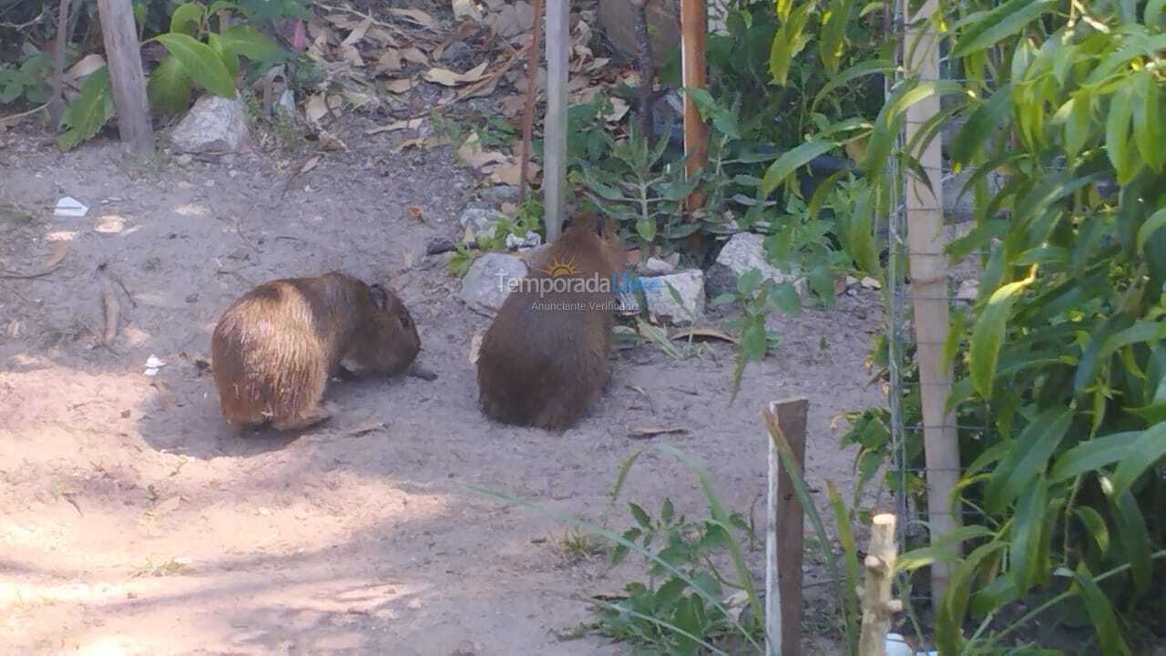 Apartamento para aluguel de temporada em Florianopolis (Praia dos Ingleses)
