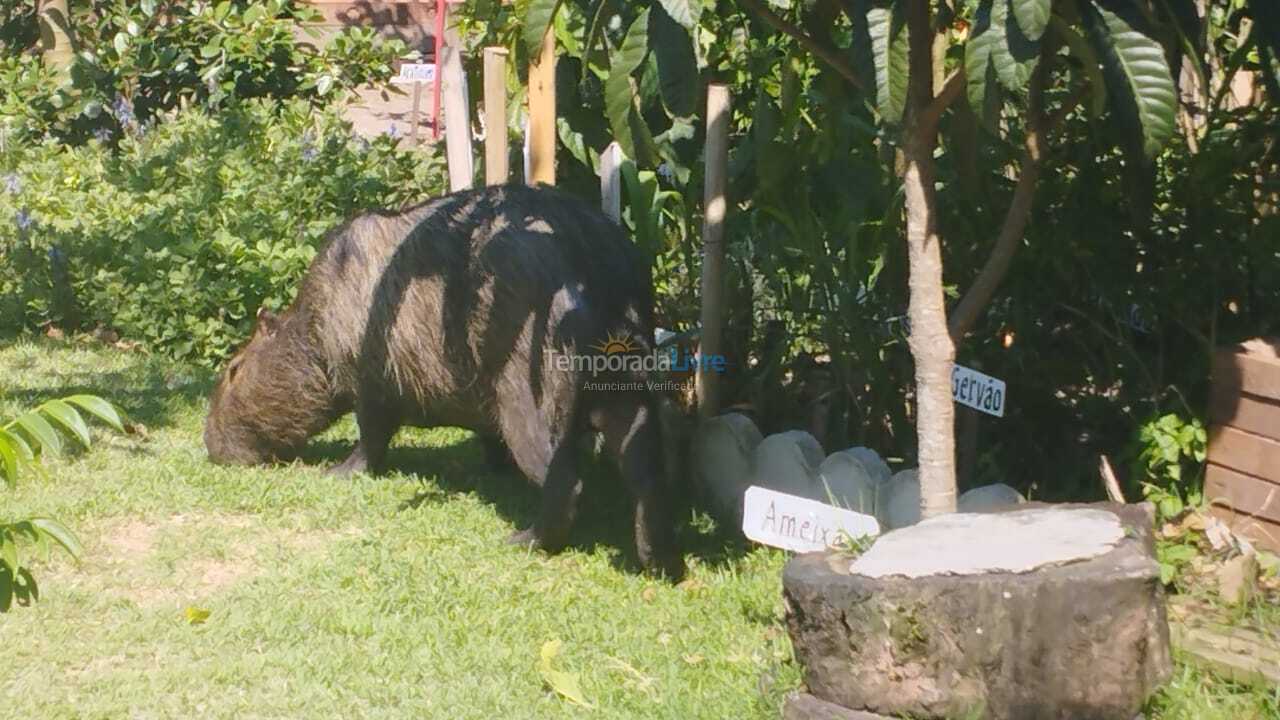 Apartamento para aluguel de temporada em Florianopolis (Praia dos Ingleses)