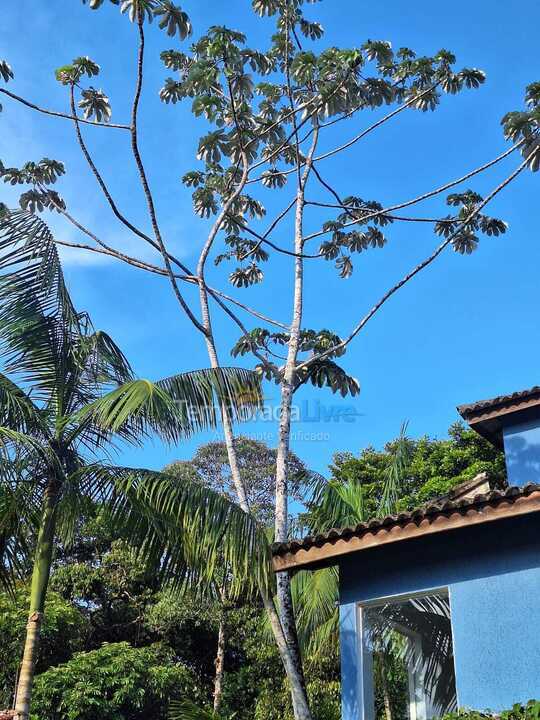 Casa para aluguel de temporada em Bertioga (Costa do Sol)