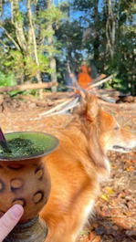 Cabaña/Casa Rural junto al lago, Concórdia-SC