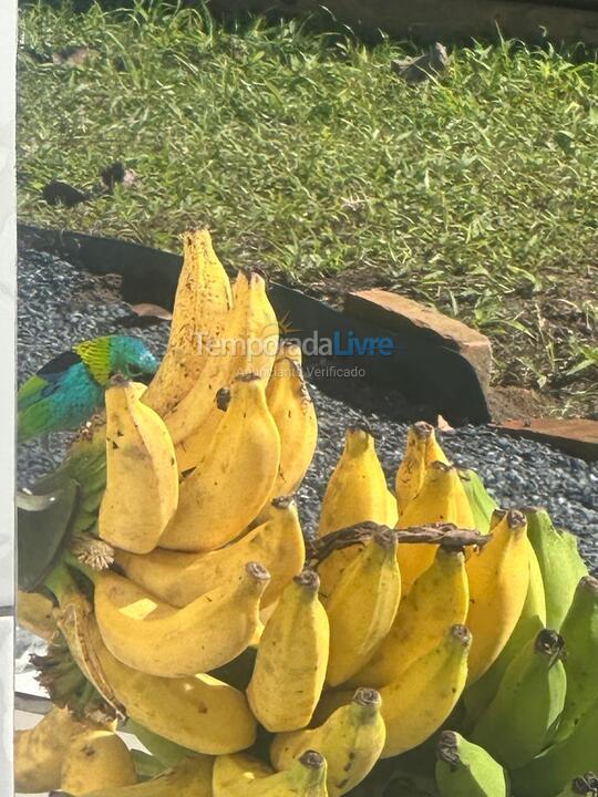 Chácara / sítio para aluguel de temporada em Major Gercino (Tres Barras)