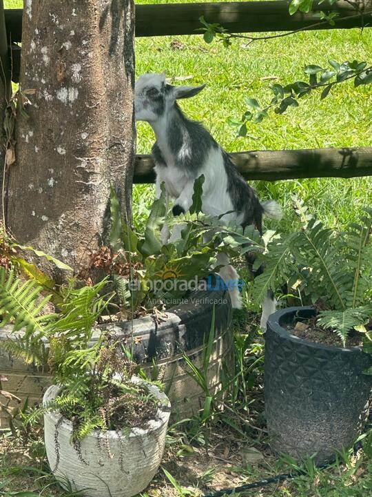 Chácara / sítio para aluguel de temporada em Major Gercino (Tres Barras)