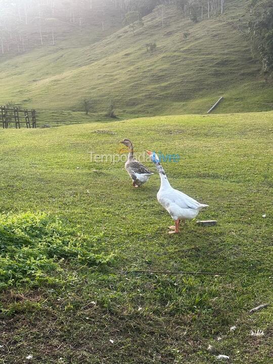 Chácara / sítio para aluguel de temporada em Major Gercino (Tres Barras)