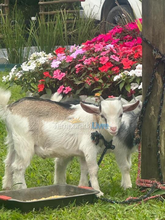 Chácara / sítio para aluguel de temporada em Major Gercino (Tres Barras)
