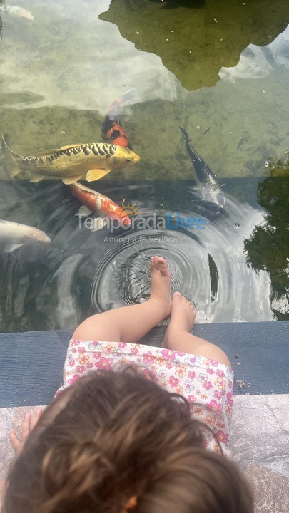 Casa para aluguel de temporada em Matinhos (Caiobá)