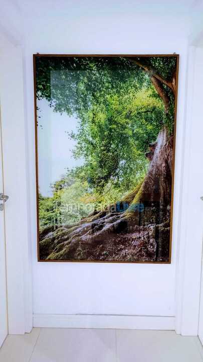 Apartamento para aluguel de temporada em Porto Belo (Praia do Pereque)