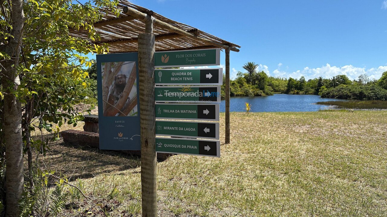 Casa para aluguel de temporada em Maraú (Taipu de Fora)