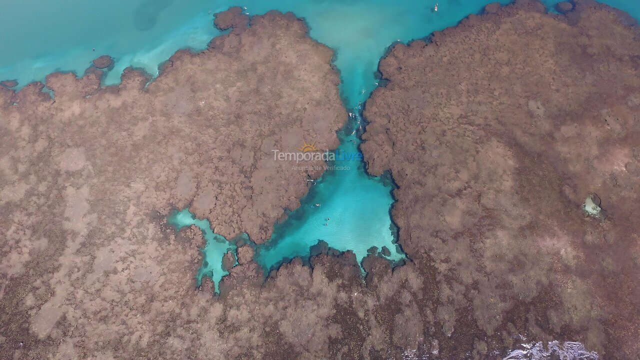 Casa para aluguel de temporada em Maraú (Taipu de Fora)