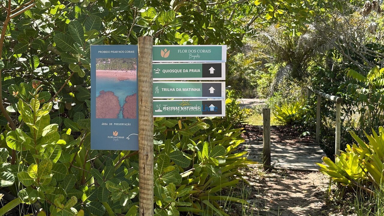 Casa para aluguel de temporada em Maraú (Taipu de Fora)