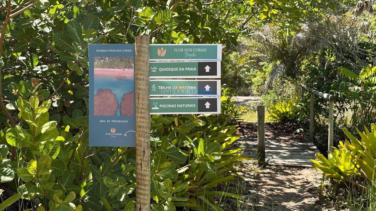 Casa para aluguel de temporada em Maraú (Taipu de Fora)