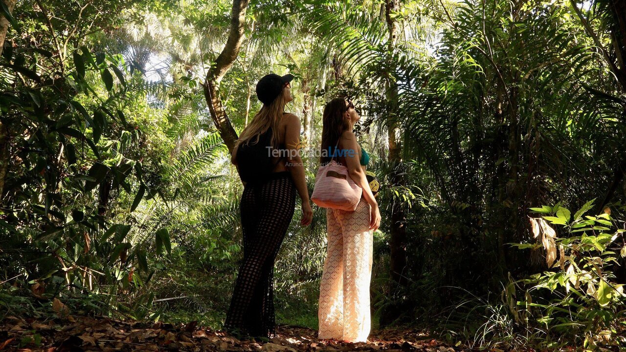 Casa para aluguel de temporada em Maraú (Taipu de Fora)