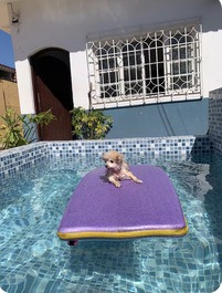 Casa con super patio trasero y asador