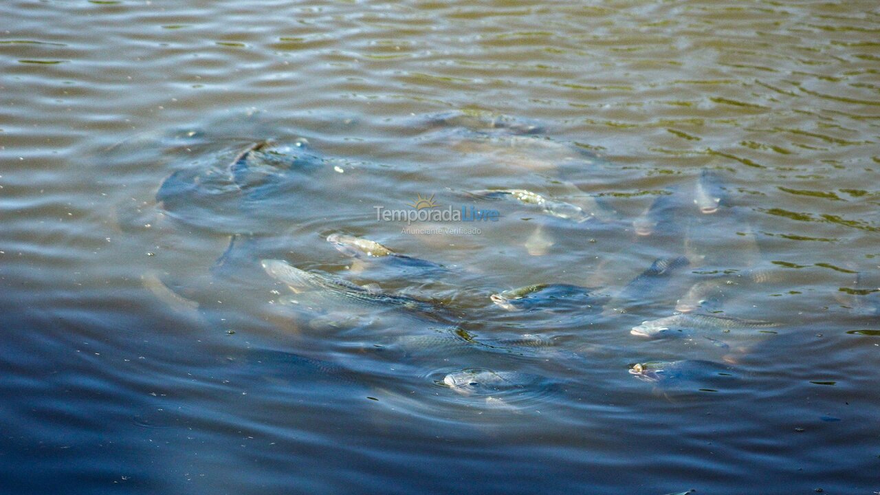 Casa para aluguel de temporada em Indaiatuba (Chácaras Videiras de Itaici)