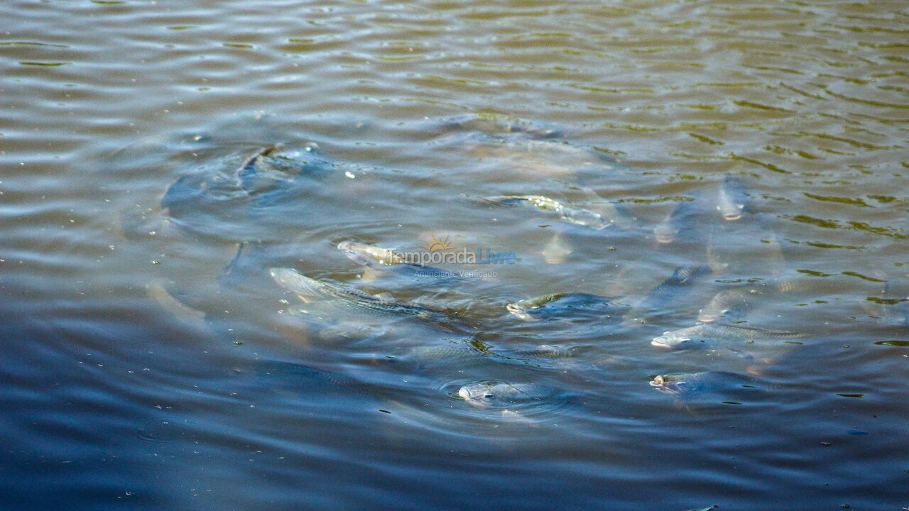 Casa para aluguel de temporada em Indaiatuba (Chácaras Videiras de Itaici)