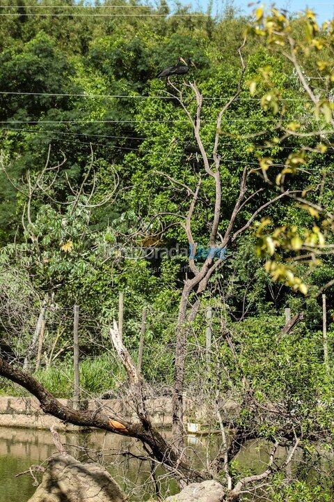 Casa para aluguel de temporada em Indaiatuba (Chácaras Videiras de Itaici)