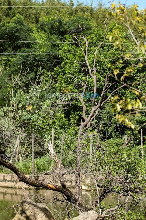 Casa para aluguel de temporada em Indaiatuba (Chácaras Videiras de Itaici)