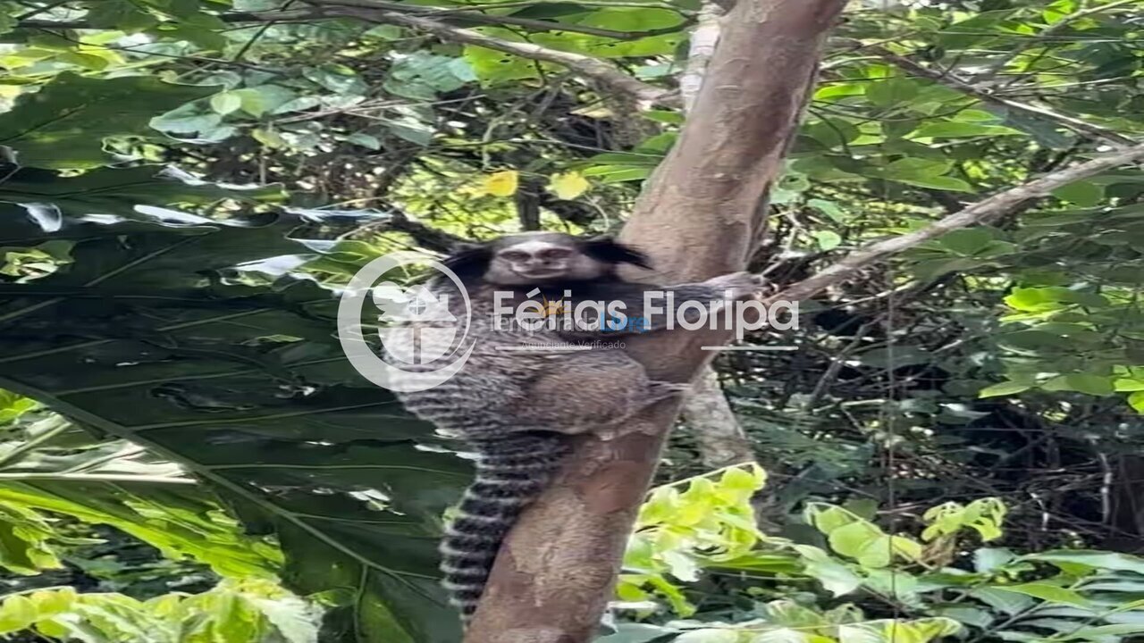 House for vacation rental in Florianópolis (Rio Tavares)