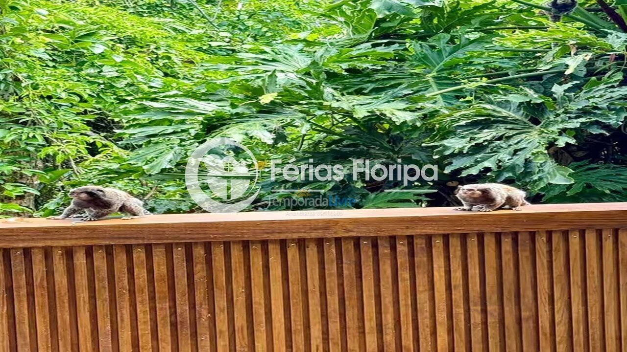 House for vacation rental in Florianópolis (Rio Tavares)