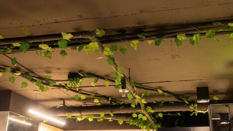 Edición Setai #411 - Frente al mar por Carpediem