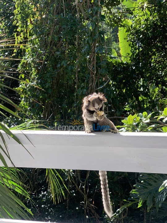 Casa para aluguel de temporada em Florianópolis (Cachoeira do Bom Jesus)