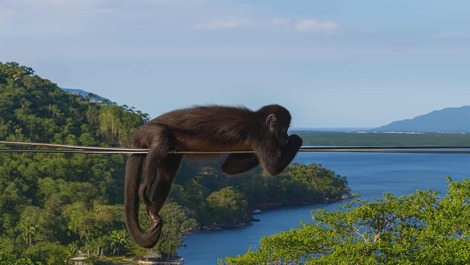 Loft Arcano Maior. Unique retreat. Views of the forest, the lagoon, and the sea!