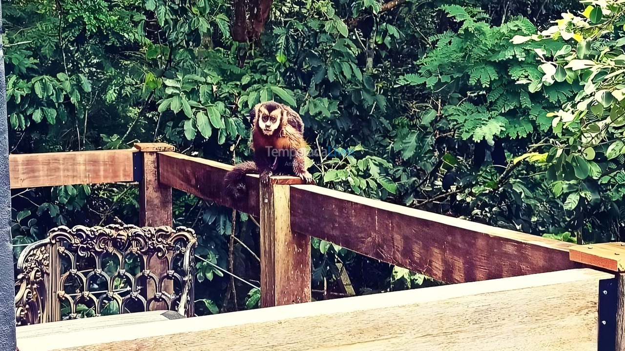 House for vacation rental in Florianopolis (Lagoa da Conceição)