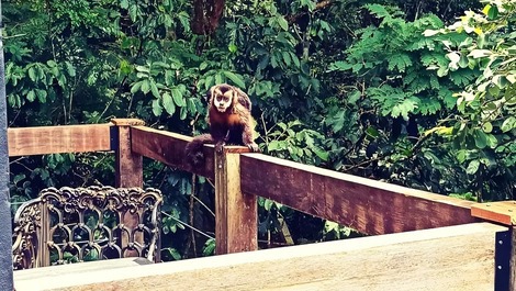 Loft Arcano Maior. Unique retreat. Views of the forest, the lagoon, and the sea!