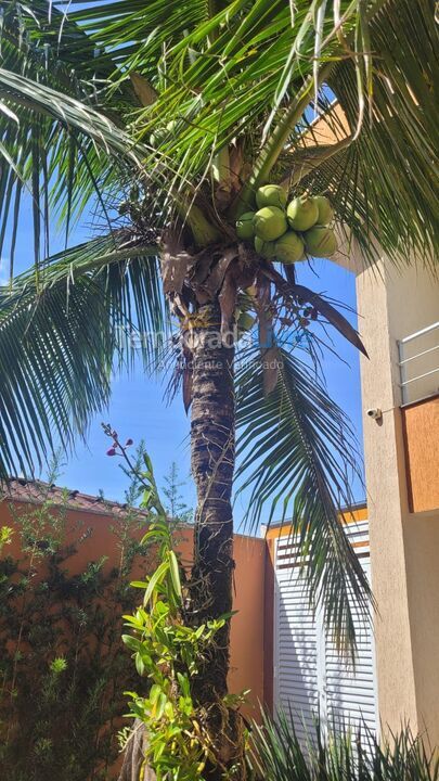 Casa para aluguel de temporada em Boracéia (Condominio Morada da Praia)