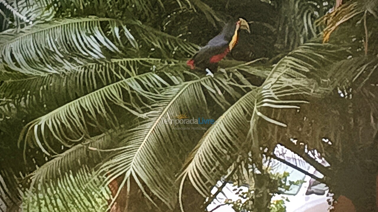 Casa para alquiler de vacaciones em Governador Celso Ramos (Fazenda da Armação)